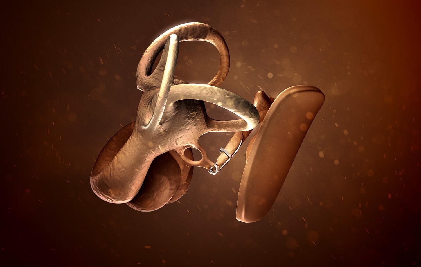 Animation of the inner ear