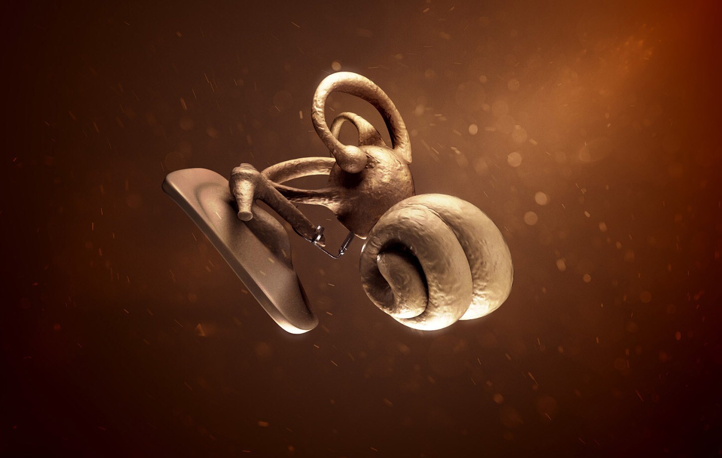 Animation of the inner ear