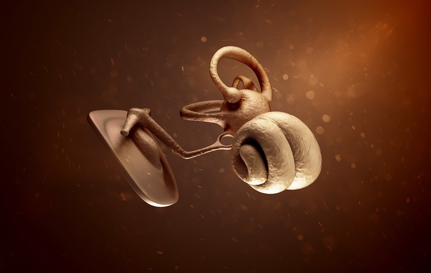 Animation of the inner ear